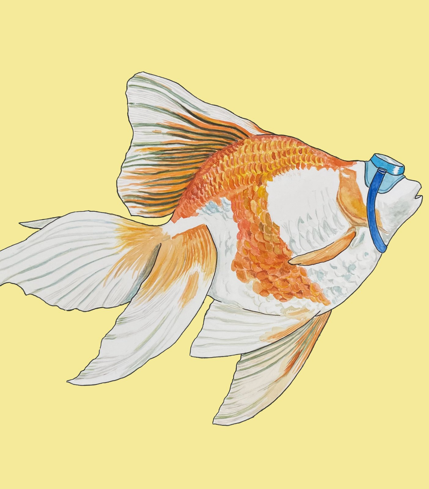 Featured Illustration